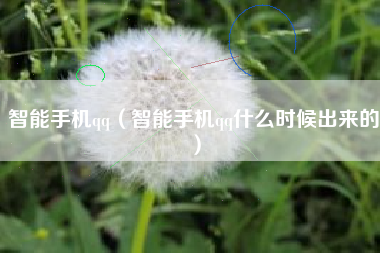 智能手机qq（智能手机qq什么时候出来的）