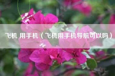 飞机 用手机（飞机用手机导航可以吗）
