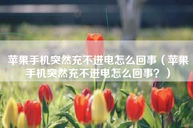 苹果手机突然充不进电怎么回事（苹果手机突然充不进电怎么回事？）