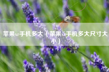 苹果xr手机多大（苹果xr手机多大尺寸大小）