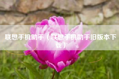 联想手机助手（联想手机助手旧版本下载）