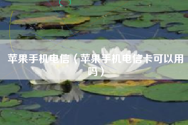 苹果手机电信（苹果手机电信卡可以用吗）