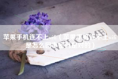苹果手机连不上wifi（苹果手机连不上wifi是怎么回事密码是对的）