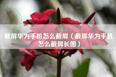 截屏华为手机怎么截屏（截屏华为手机怎么截屏长图）