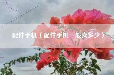 配件手机（配件手机一般卖多少）