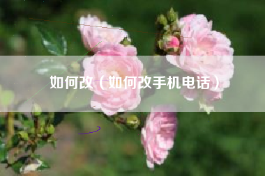 如何改（如何改手机电话）
