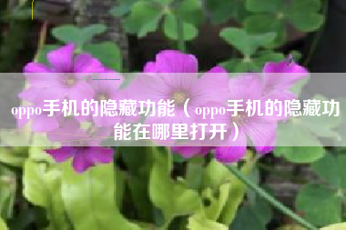 oppo手机的隐藏功能（oppo手机的隐藏功能在哪里打开）