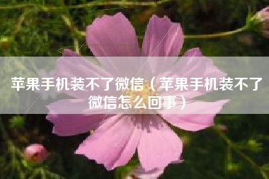 苹果手机装不了微信（苹果手机装不了微信怎么回事）