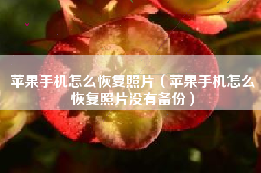 苹果手机怎么恢复照片（苹果手机怎么恢复照片没有备份）