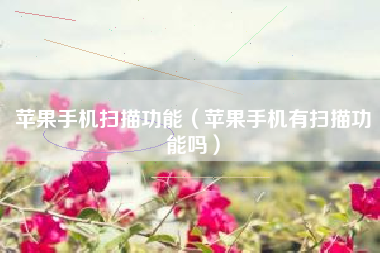 苹果手机扫描功能（苹果手机有扫描功能吗）