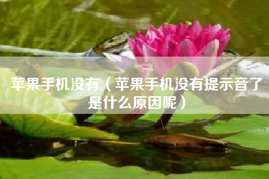 苹果手机没有（苹果手机没有提示音了是什么原因呢）