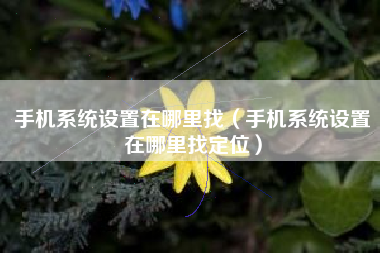 手机系统设置在哪里找（手机系统设置在哪里找定位）