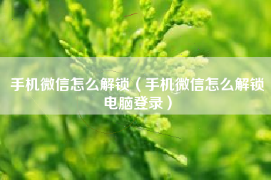 手机微信怎么解锁（手机微信怎么解锁电脑登录）