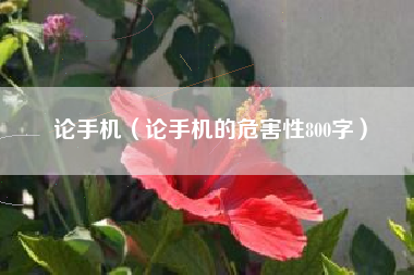 论手机（论手机的危害性800字）