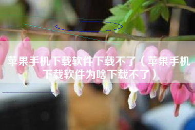 苹果手机下载软件下载不了（苹果手机下载软件为啥下载不了）