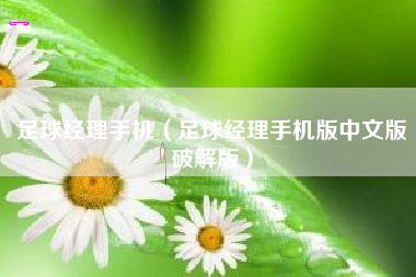 足球经理手机（足球经理手机版中文版破解版）