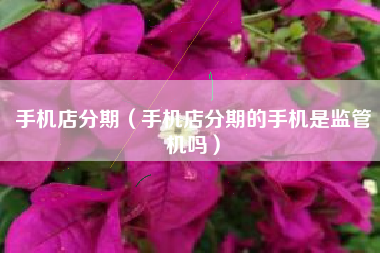 手机店分期（手机店分期的手机是监管机吗）