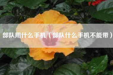 部队用什么手机（部队什么手机不能带）