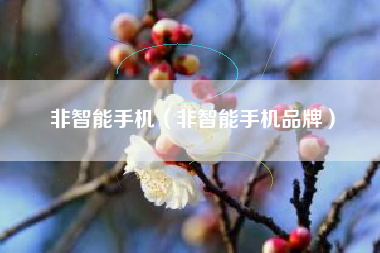 非智能手机（非智能手机品牌）