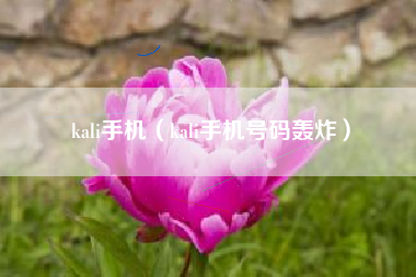 kali手机（kali手机号码轰炸）
