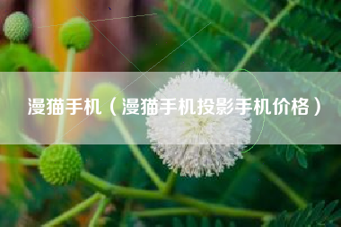 漫猫手机（漫猫手机投影手机价格）