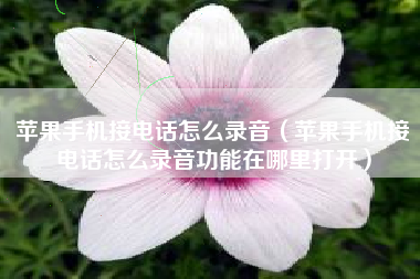 苹果手机接电话怎么录音（苹果手机接电话怎么录音功能在哪里打开）