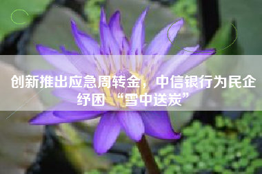 创新推出应急周转金，中信银行为民企纾困 “雪中送炭”
