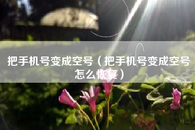 把手机号变成空号（把手机号变成空号怎么恢复）
