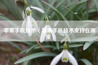 苹果手机技术（苹果手机技术支持在哪里）