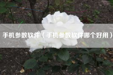 手机参数软件（手机参数软件哪个好用）