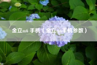 金立m6 手机（金立m6手机参数）