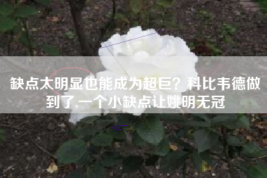 缺点太明显也能成为超巨？科比韦德做到了,一个小缺点让姚明无冠