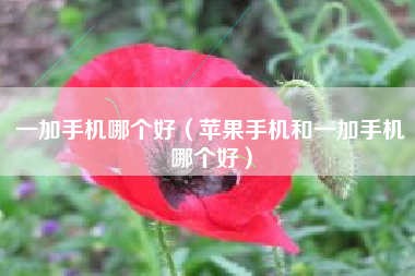 一加手机哪个好（苹果手机和一加手机哪个好）