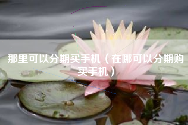 那里可以分期买手机（在哪可以分期购买手机）