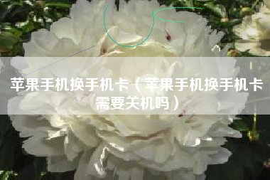 苹果手机换手机卡（苹果手机换手机卡需要关机吗）
