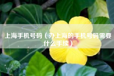 上海手机号码（办上海的手机号码需要什么手续）