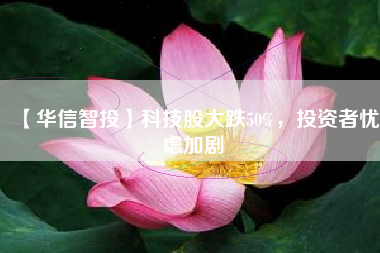 【华信智投】科技股大跌50%，投资者忧虑加剧