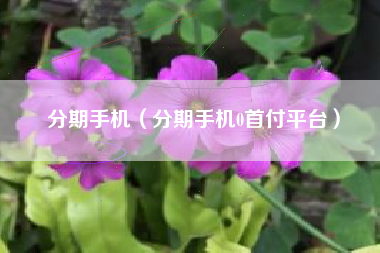 分期手机（分期手机0首付平台）
