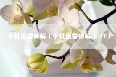 手机迅雷破解（手机迅雷破解版APP）