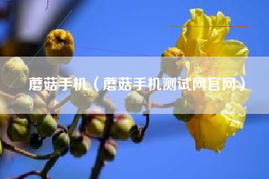 蘑菇手机（蘑菇手机测试网官网）
