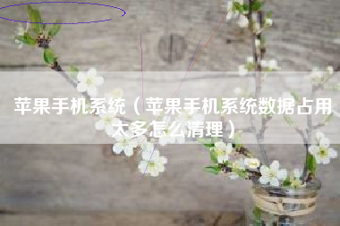 苹果手机系统（苹果手机系统数据占用太多怎么清理）