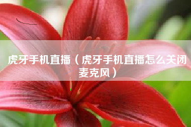 虎牙手机直播（虎牙手机直播怎么关闭麦克风）
