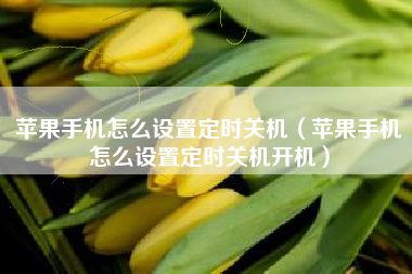苹果手机怎么设置定时关机（苹果手机怎么设置定时关机开机）