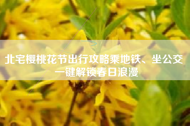 北宅樱桃花节出行攻略乘地铁、坐公交  一键解锁春日浪漫
