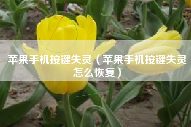 苹果手机按键失灵（苹果手机按键失灵怎么恢复）