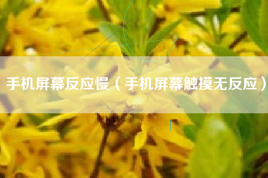 手机屏幕反应慢（手机屏幕触摸无反应）