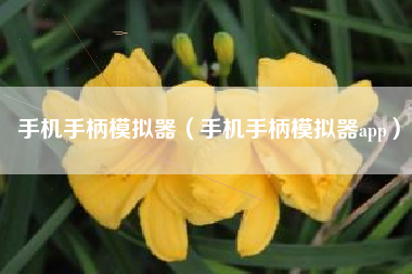 手机手柄模拟器（手机手柄模拟器app）