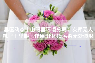 县区动态｜山阳县环境分局：发挥无人机“千里眼”作用 让环境污染无处遁形