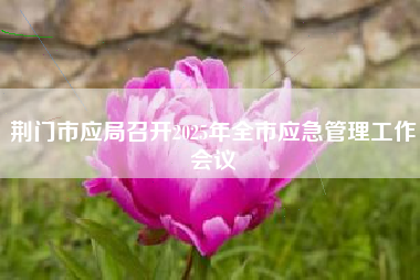 荆门市应局召开2025年全市应急管理工作会议