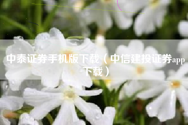 中泰证券手机版下载（中信建投证券app下载）